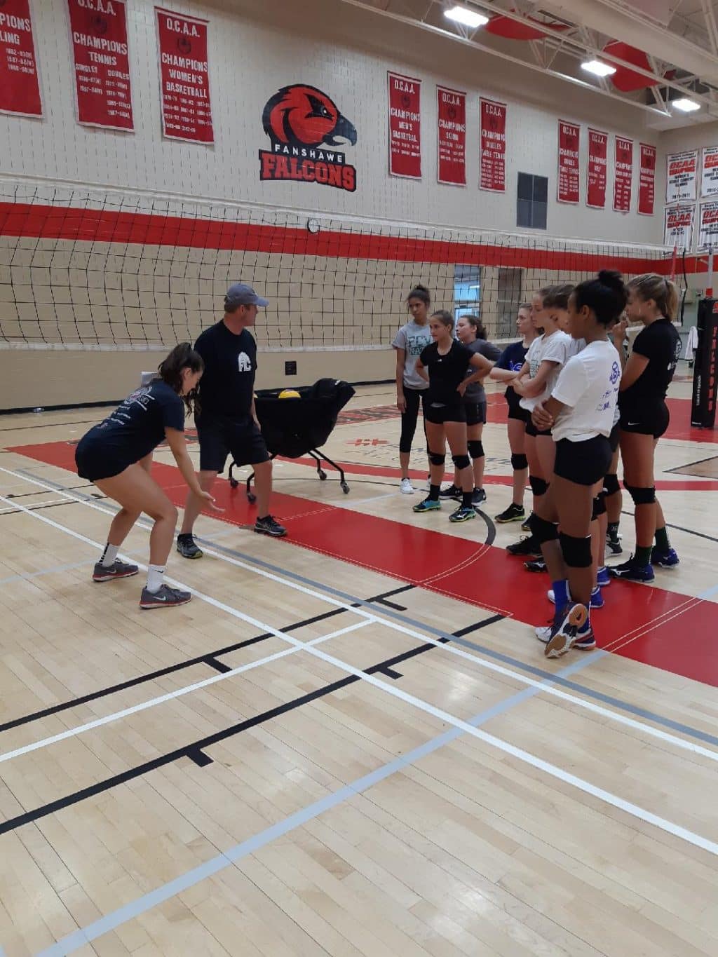 22+ Ontario volleyball summer camps Inspiration